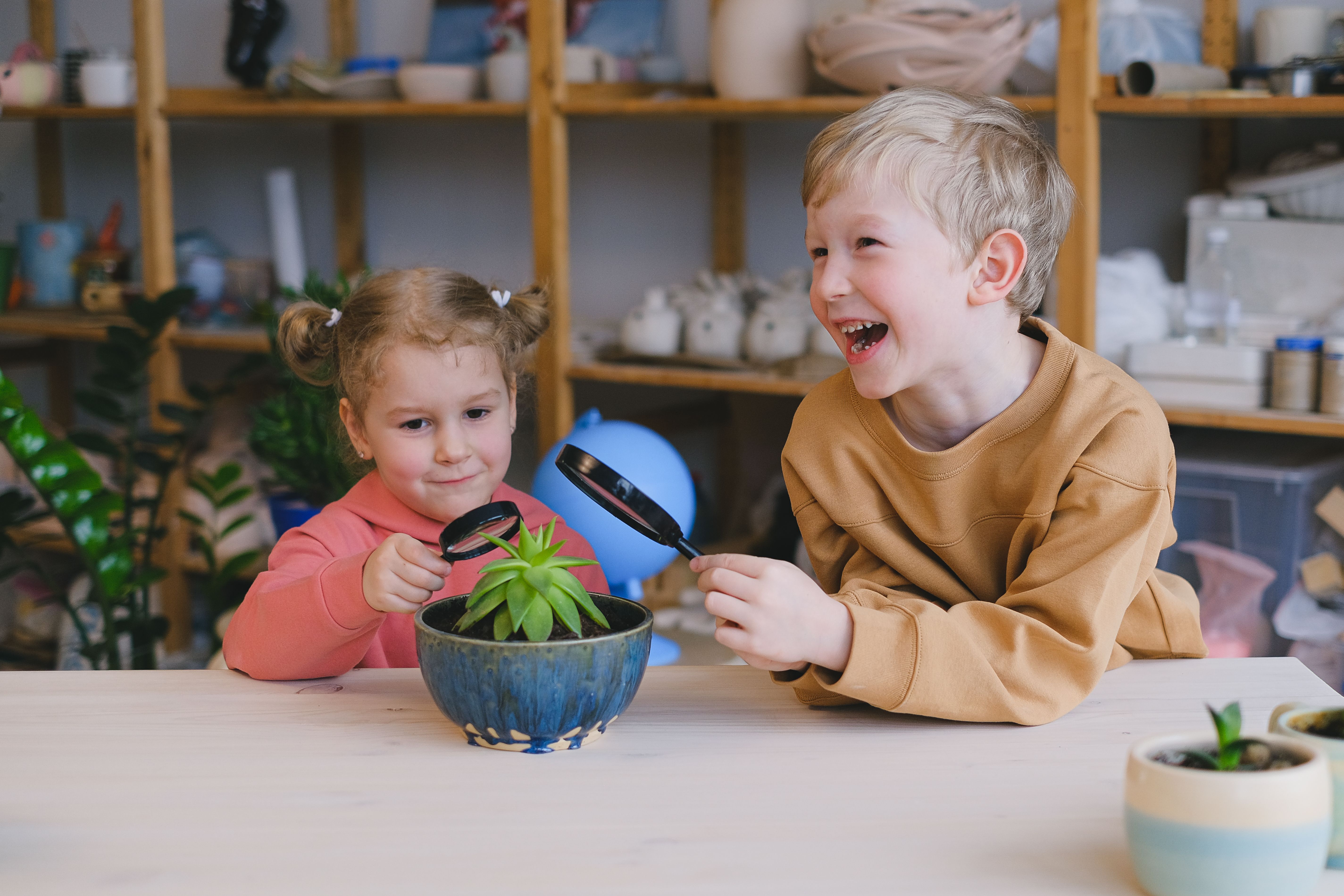Seattle Area Neuro-Affirming Resources for Twice-Exceptional (2e) and Gifted Kids: A Guide for Families